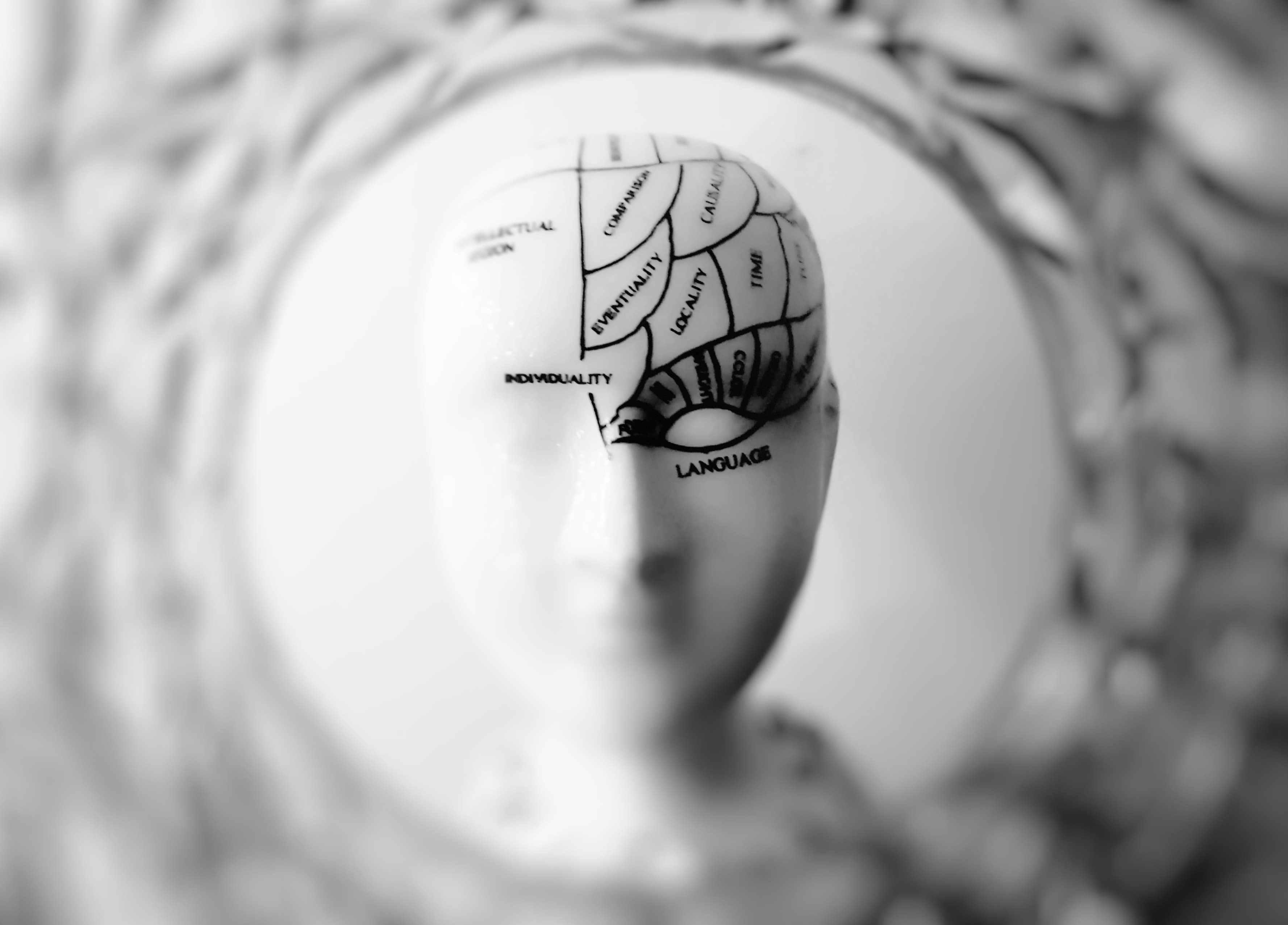  La nécessité de développer un « neurosepticisme »