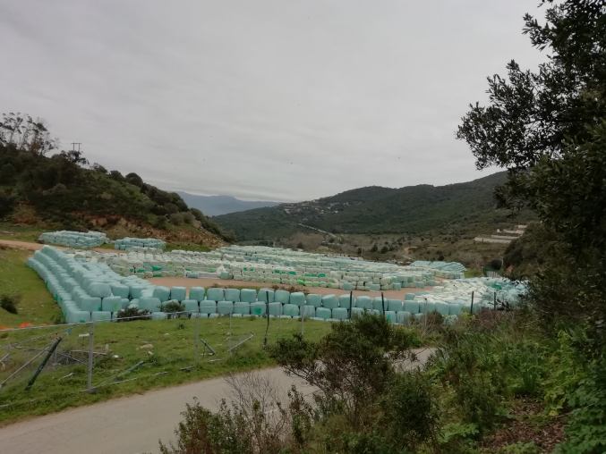  Corse : éviter de s’enfoncer dans les affres d’un développement mal maîtrisé